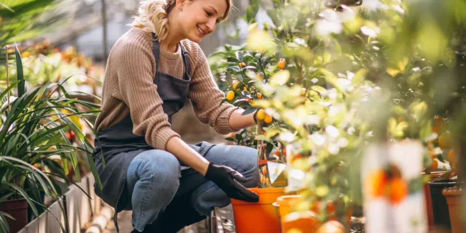 Obliczanie śladu węglowego w branży reklamowej: Jak zminimalizować ekologiczny wpływ kampanii